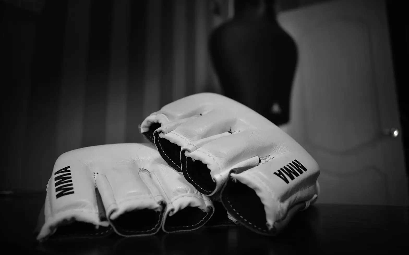 Gloves, fighter and fight