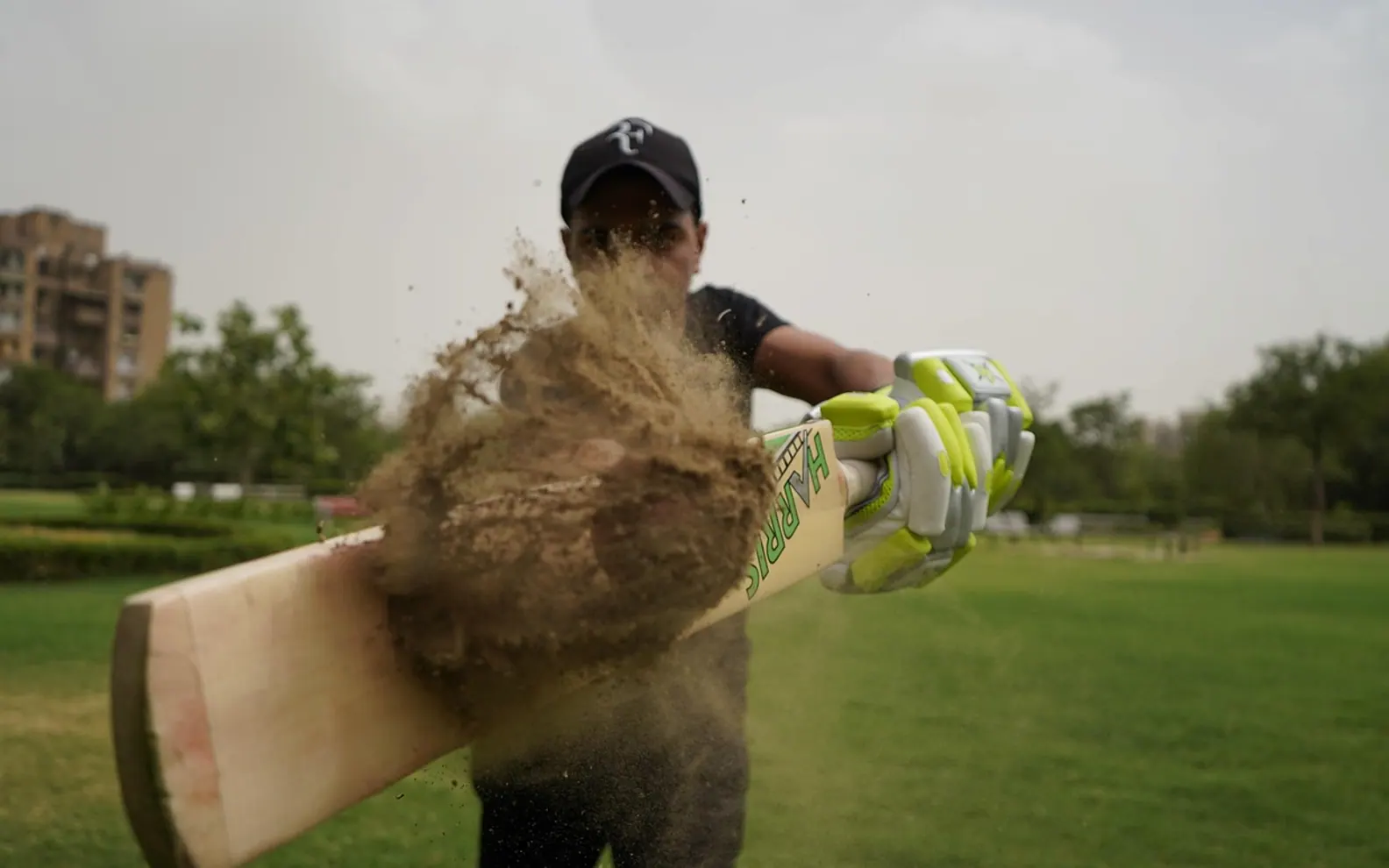 Cricket, sports and player